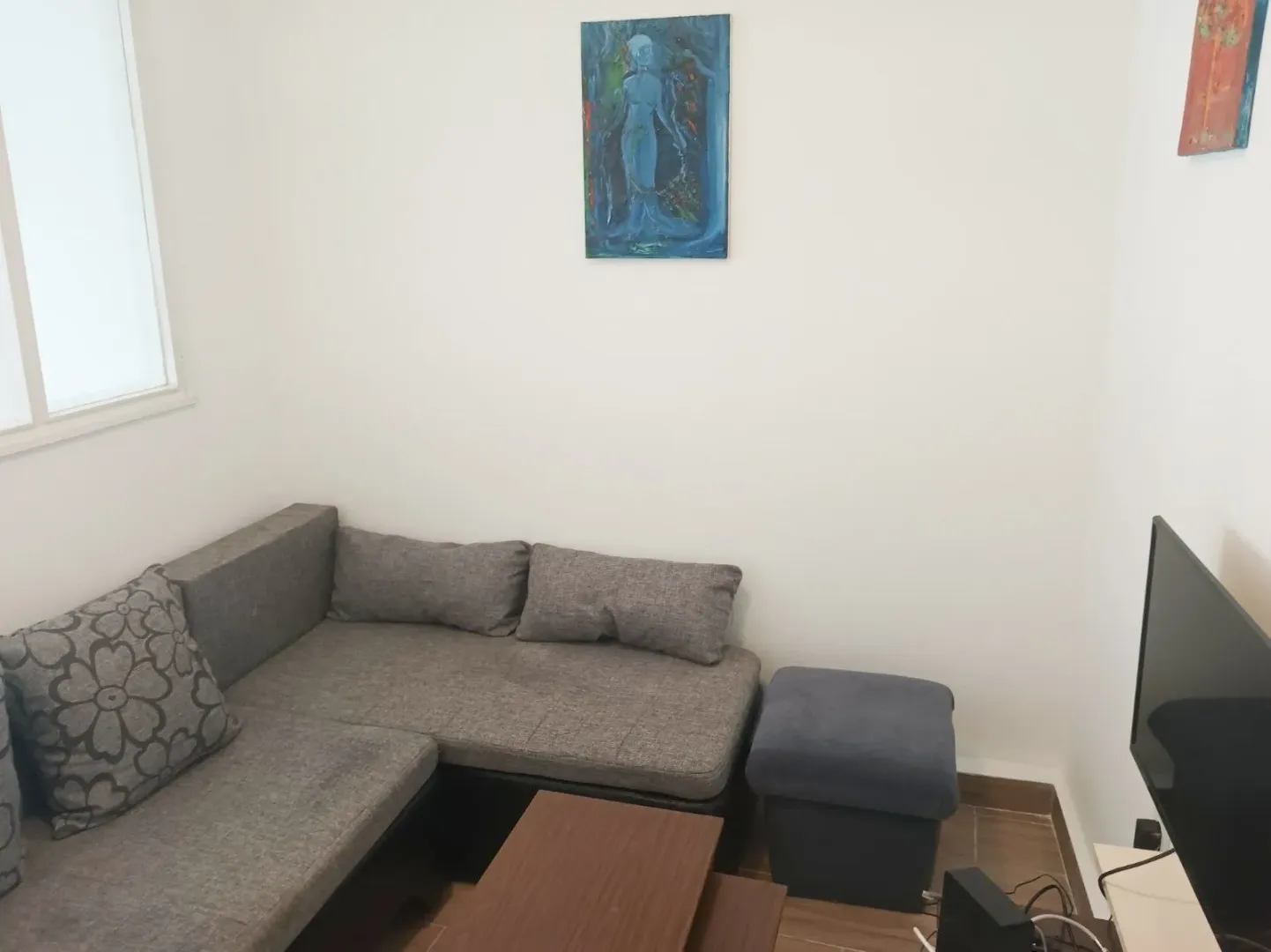 Izdavanje, jednosoban stan, 45m², Preko Morače, Podgorica