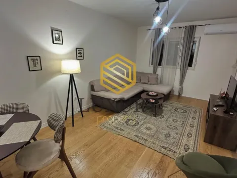 Izdavanje, jednosoban stan, 50m², Central Point, Podgorica - image 6