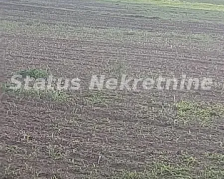 Sale, land lot, 2600m², Kovilj, Novi Sad Sve Podlokacije - image 10