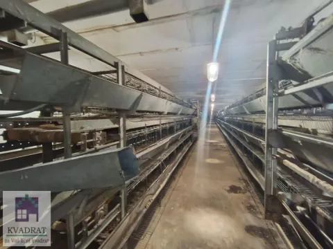 Prodaja, poslovni prostor, 163m², Zvečka, Obrenovac - image 19