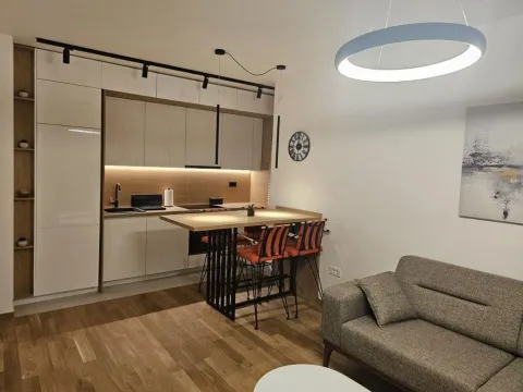 Izdavanje, jednosoban stan, 60m², City Kvart, Podgorica - image 7