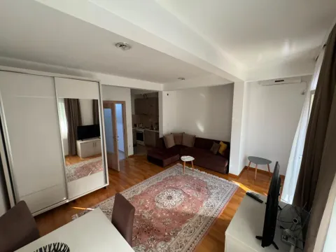 Izdavanje, garsonjera, 35m², Zabjelo, Podgorica - image 2