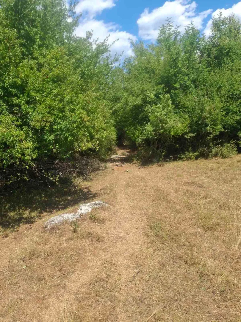 Sale, land lot, 80000m², Slap, Danilovgrad