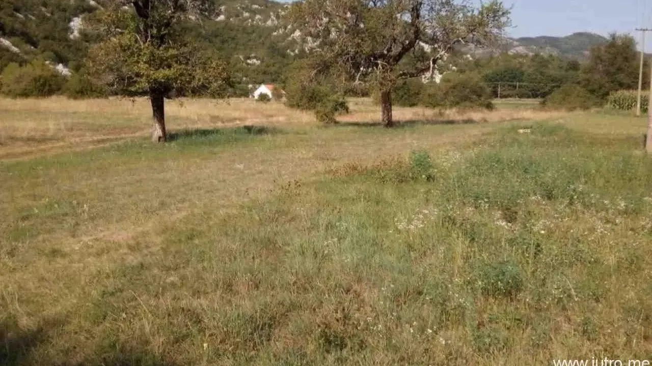 Sale, land lot, 8500m², Grahovo, Nikšić