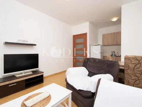 Rent, one bedroom apartment, 40m², Tuški Put, Podgorica - image 3