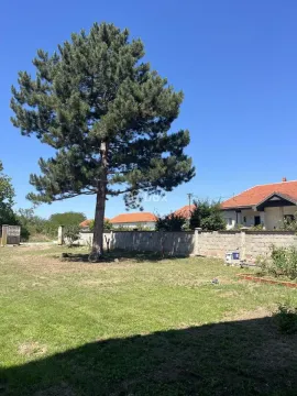 Prodaja, kuća, 135m², Dobrujevac, Boljevac - image 32