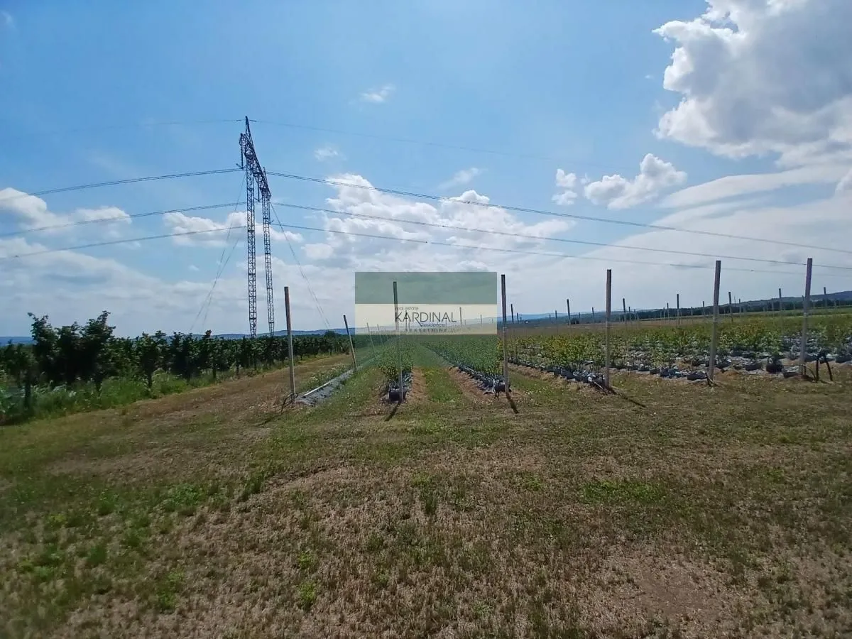 Prodaja, plac, 285100m², Medjureč, Jagodina