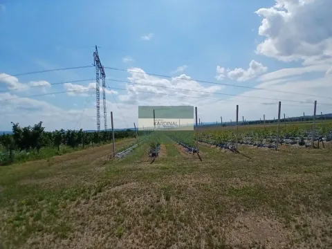 Prodaja, plac, 285100m², Medjureč, Jagodina - image 25