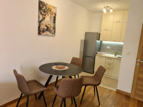 Rent, one bedroom apartment, 48m², New City, Podgorica - image 3