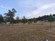 Sale, land lot, 533m², Žabljak, Crna Gora - image 2