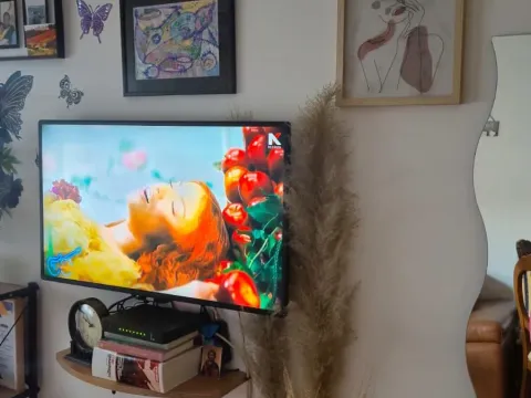 Izdavanje, jednosoban stan, 40m², Stari Aerodrom, Podgorica - image 2