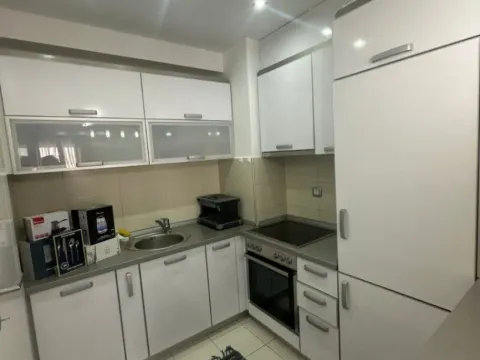 Izdavanje, jednosoban stan, 58m², Stari Aerodrom, Podgorica - image 5