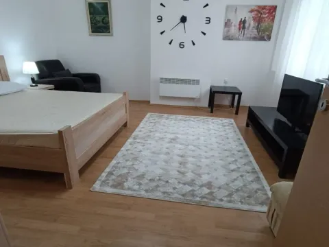 Izdavanje, dvosoban stan, 58m², Podgorica, Crna Gora - image 11
