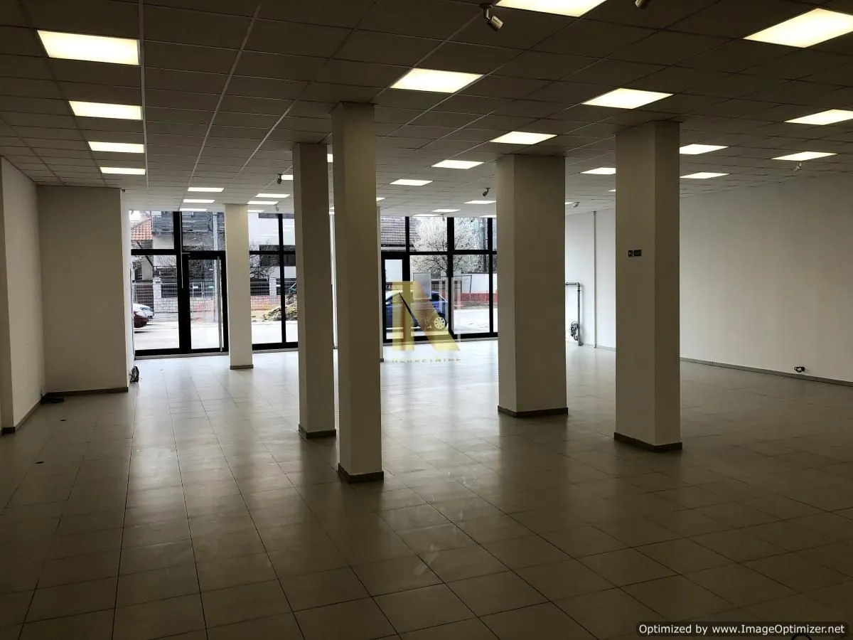 Rent, office space, 331m², Bulevar patrijarha Pavla, Novi Sad Sve Podlokacije