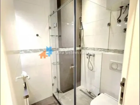 Rent, two bedroom apartment, 42m², Lion, Zvezdara Sve Podlokacije - image 12