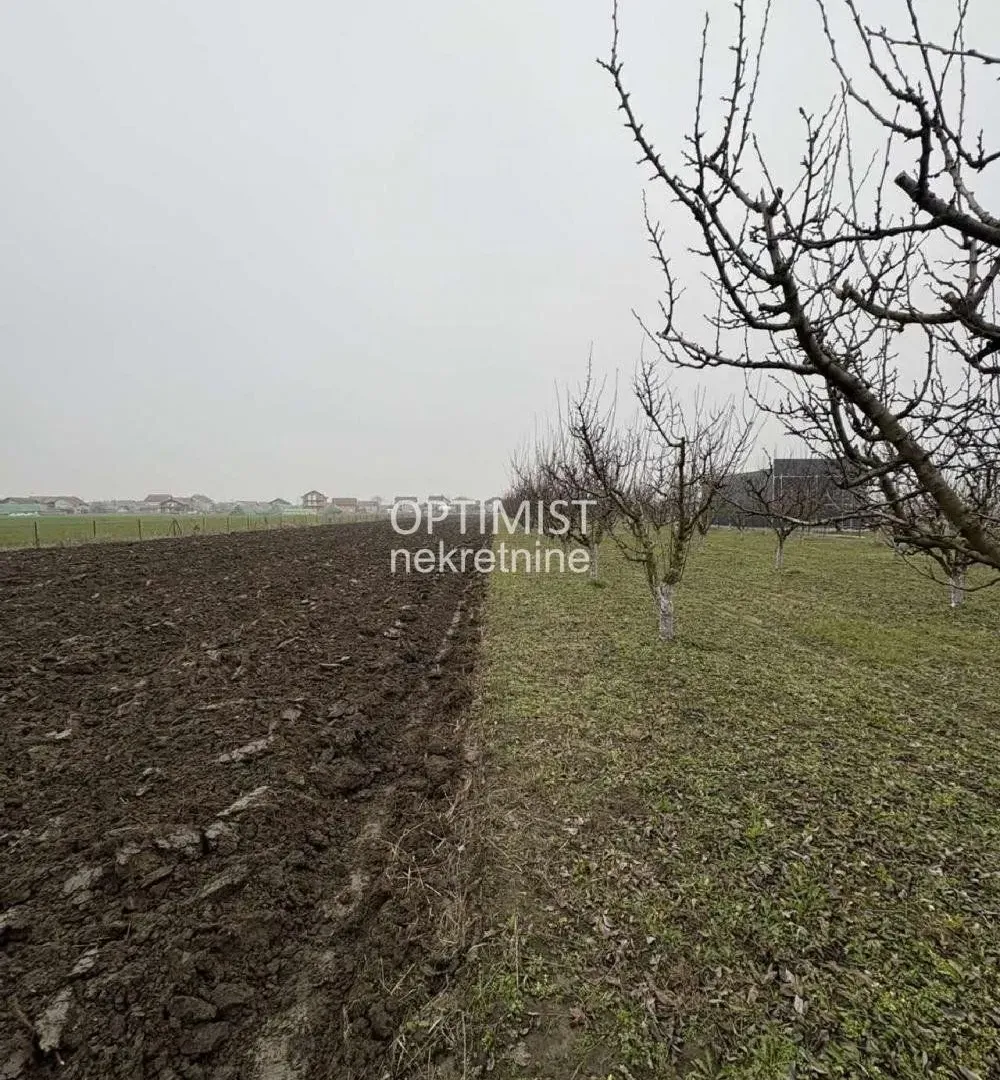 Prodaja, plac, 11000m², Zemun Ugrinovci, Zemun Sve Podlokacije