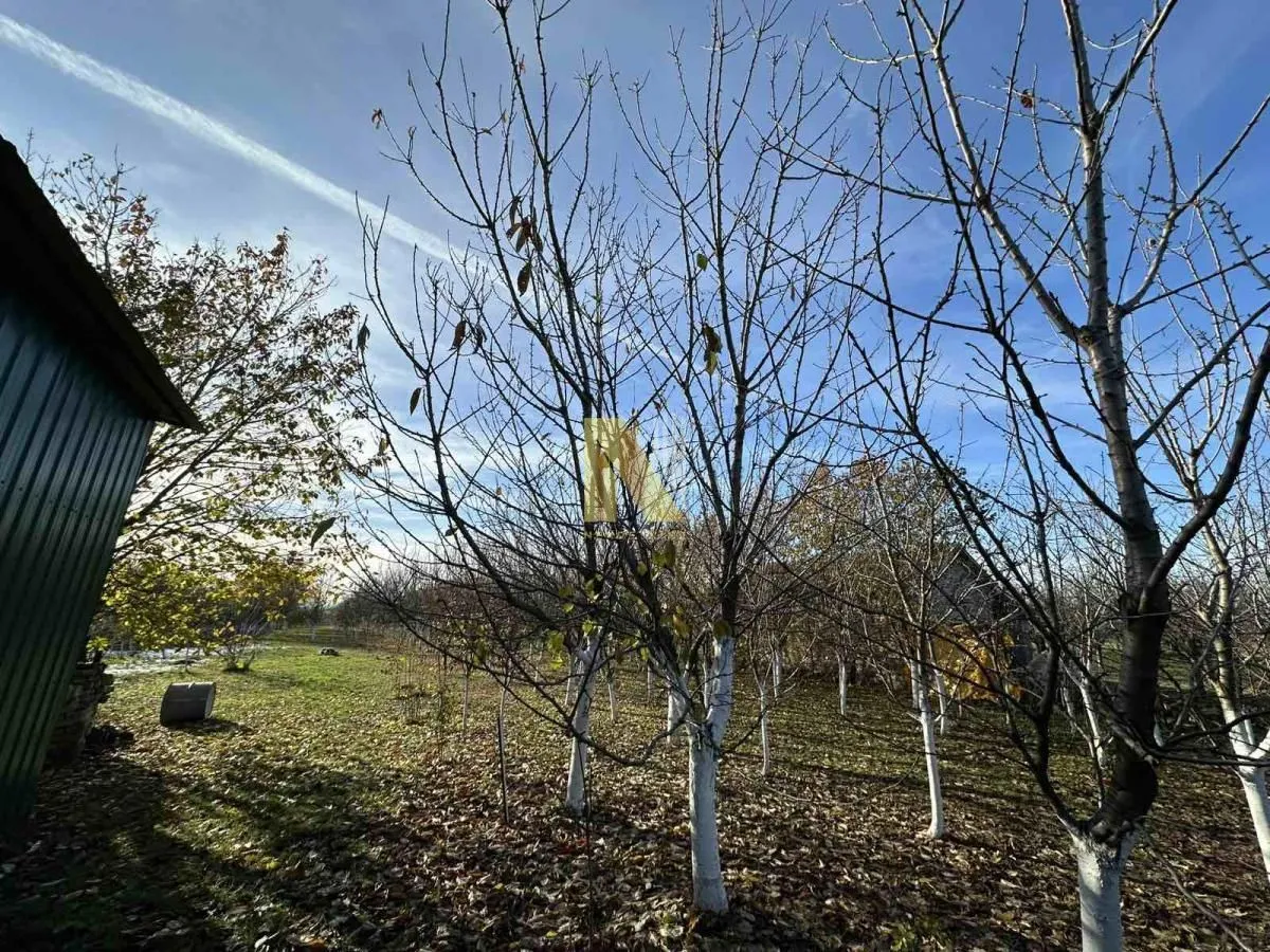 Prodaja, kuća, 114m², Kać, Novi Sad Sve Podlokacije