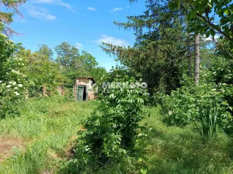 Prodaja, kuća, 150m², Čenta, Zrenjanin - image 6