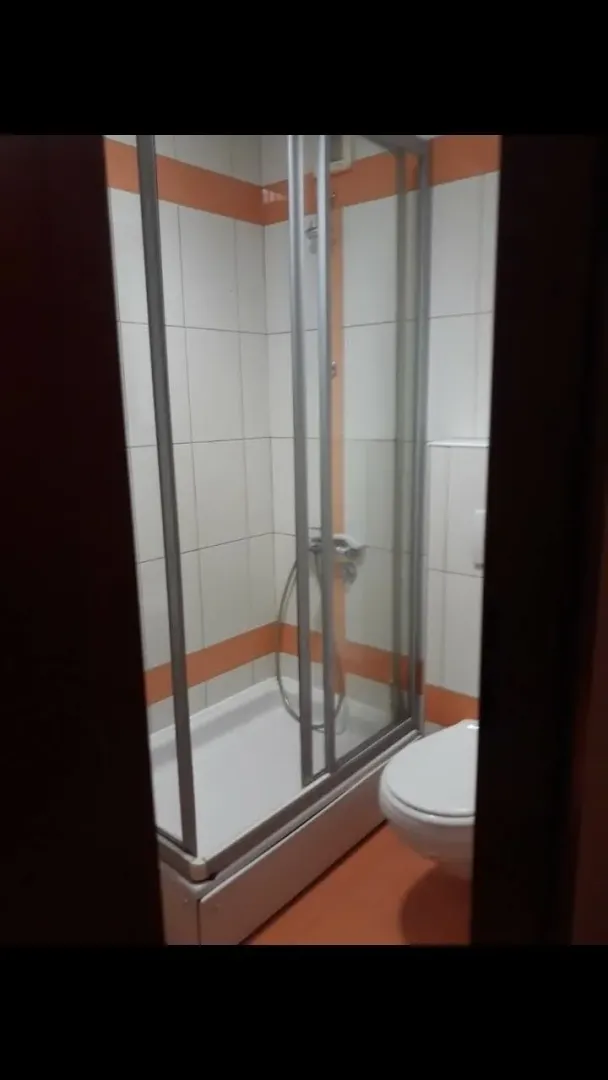A small bathroom featuring a shower cabin and a toilet.