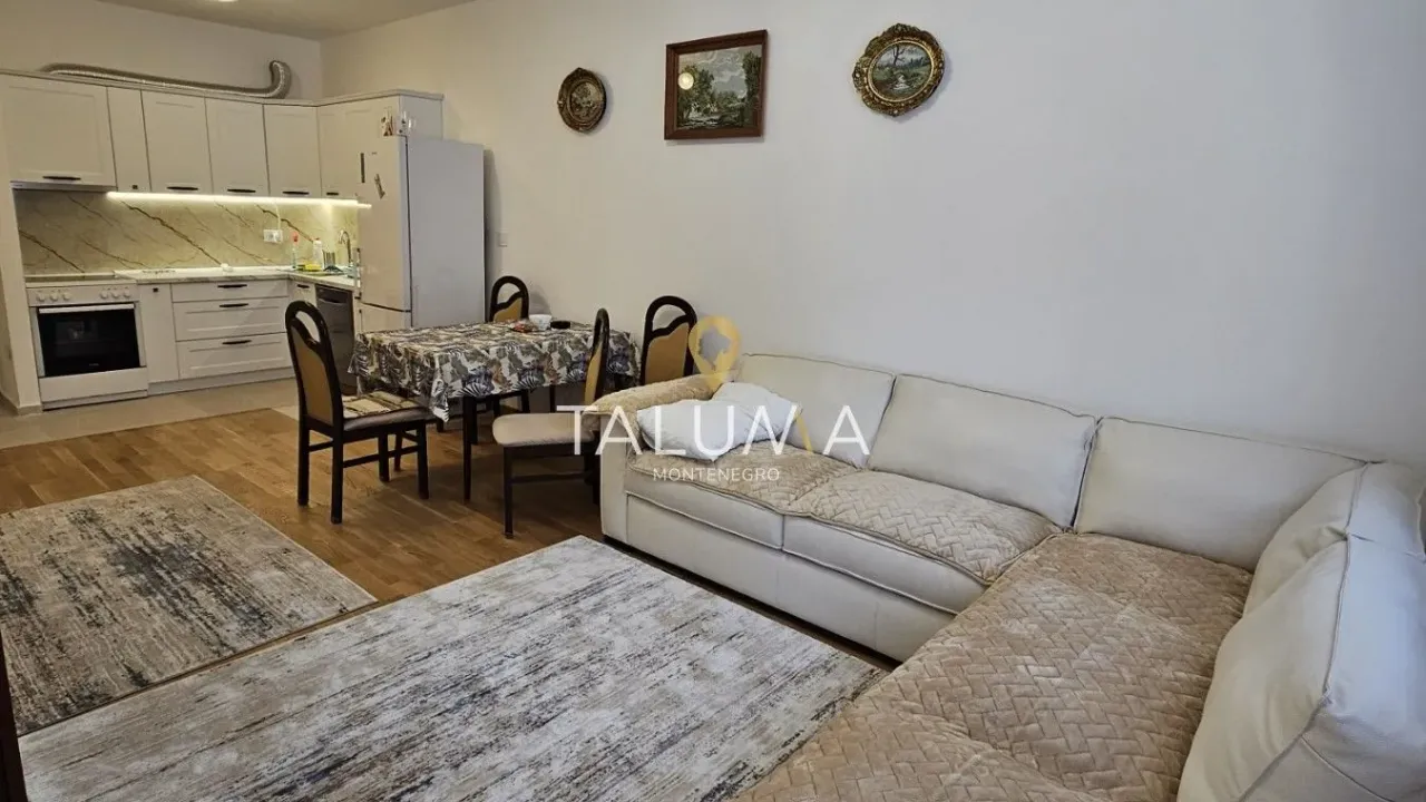 Izdavanje, jednosoban stan, 47m², Stari Aerodrom, Podgorica