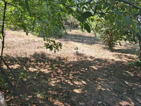 Prodaja, kuća, 30m², Ledinci, Petrovaradin - image 38