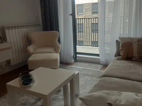 Rent, two bedroom apartment, 46m², Palilula Sve Podlokacije, Beograd - image 16