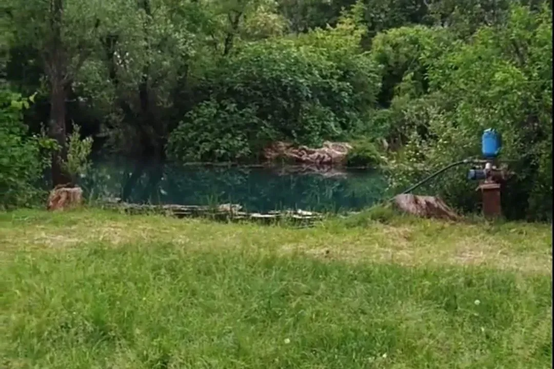 Prodaja, plac, 10000m², Danilovgrad, Crna Gora