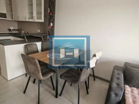Izdavanje, garsonjera, 35m², Centar, Paraćin - image 4