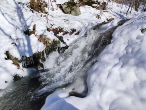 Sale, land lot, 13000m², Knjaževac, Srbija - image 9