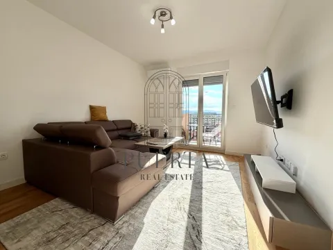 Rent, one bedroom apartment, 42m², Stari Aerodrom, Podgorica - image 1