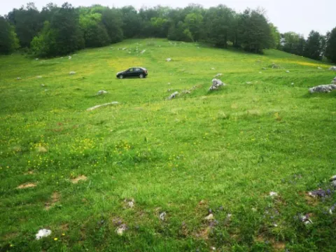 Sale, land lot, 1708m², Pošćenski Kraj, Žabljak - image 8