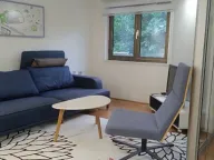 Izdavanje, jednosoban stan, 35m², Momišići, Podgorica - image 5