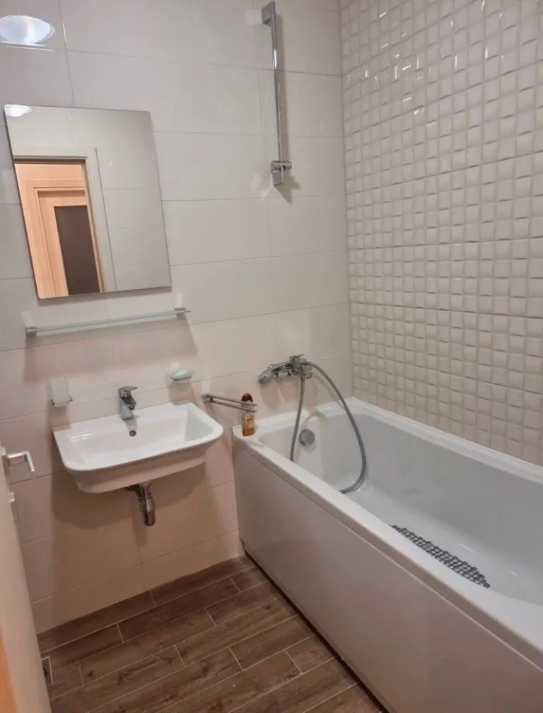 Rent, one bedroom apartment, 46m², Vezirov Most, Podgorica