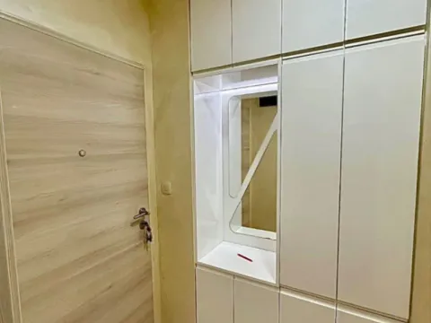 Izdavanje, jednosoban stan, 45m², Zagorič, Podgorica - image 10