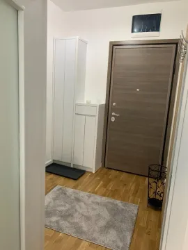 Izdavanje, jednosoban stan, 46m², Zabjelo, Podgorica - image 10