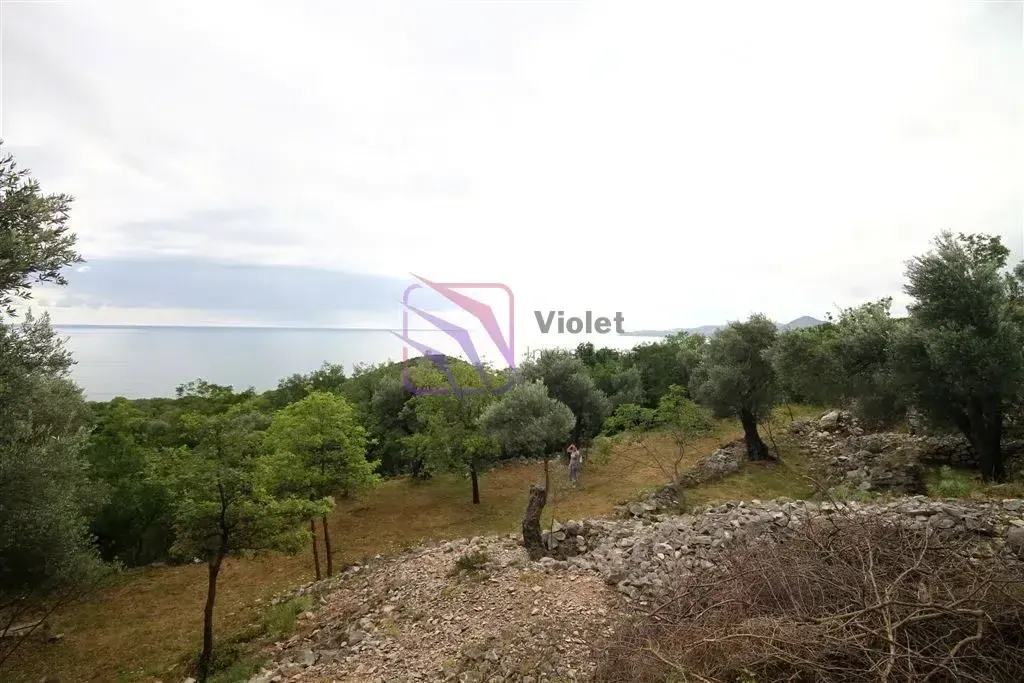 Prodaja, plac, 2650m², Reževići, Budva