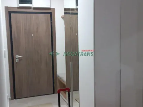 Izdavanje, dvosoban stan, 54m², Palilulska Pijaca, Palilula Sve Podlokacije - image 11