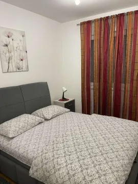 Izdavanje, jednosoban stan, 50m², Dalmatinska ulica, Podgorica - image 9