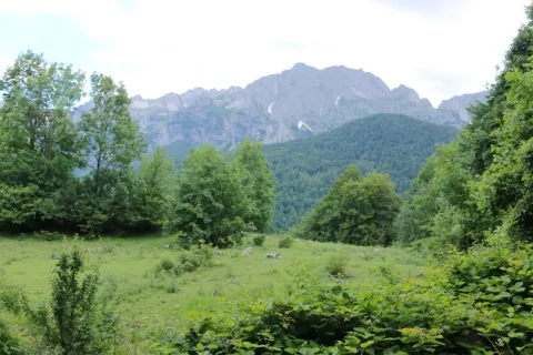 Prodaja, plac, 45000m², Gornje Lipovo, Kolašin - image 9