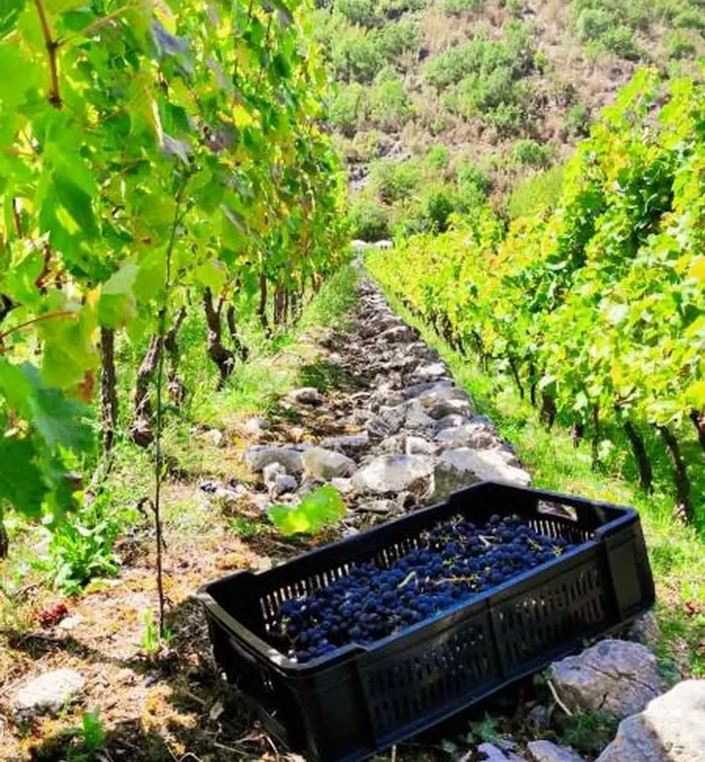 Prodaja, kuća, 170m², Crmnica, Bar