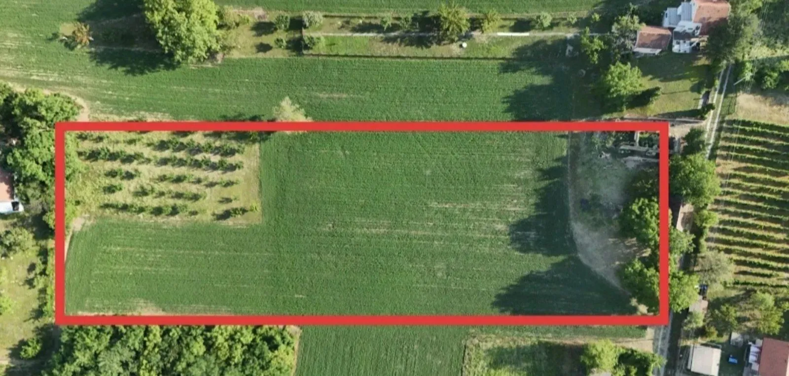 Prodaja, plac, 77000m², Krčedin, Inđija