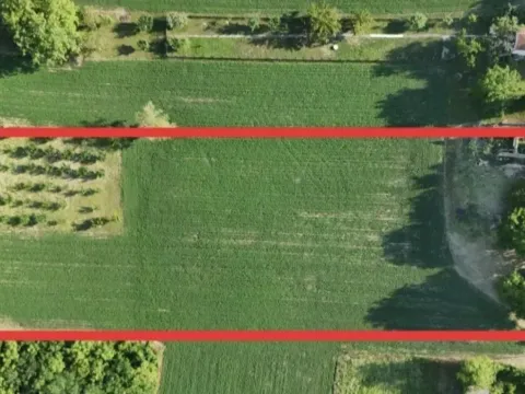 Prodaja, plac, 77000m², Krčedin, Inđija - image 2
