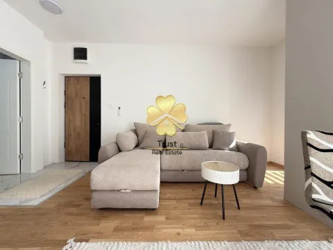 Rent, studio apartment, 30m², Zabjelo, Podgorica - image 4