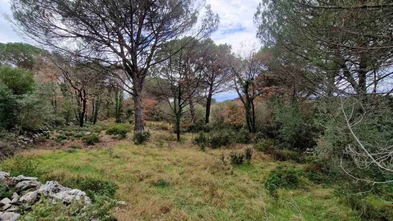 Sale, land lot, 1150m², Zagora, Kotor