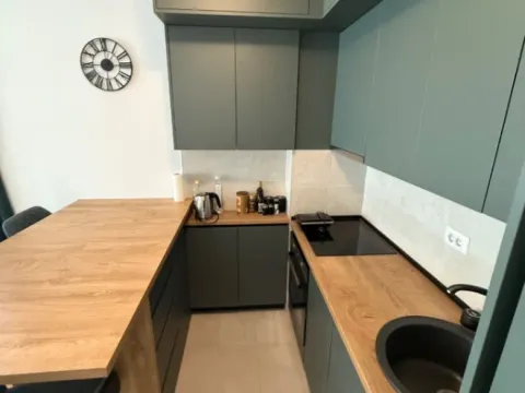 Rent, one bedroom apartment, 48m², Stari Aerodrom, Podgorica - image 9