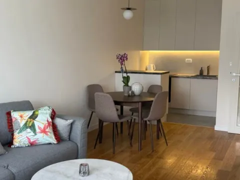 Izdavanje, jednosoban stan, 49m², Central Point, Podgorica - image 2