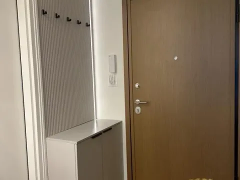 Izdavanje, jednosoban stan, 35m², Južni Bulevar, Vračar Sve Podlokacije - image 12