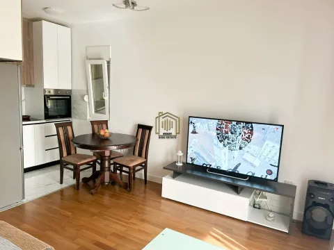 Izdavanje, jednosoban stan, 48m², Zabjelo, Podgorica - image 2