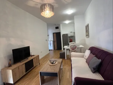 Rent, one bedroom apartment, 47m², Zabjelo, Podgorica - image 2