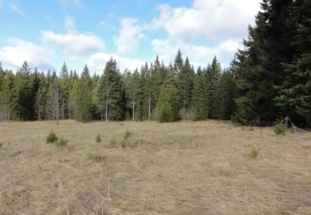 Prodaja, plac, 8600m², Tara, Srbija